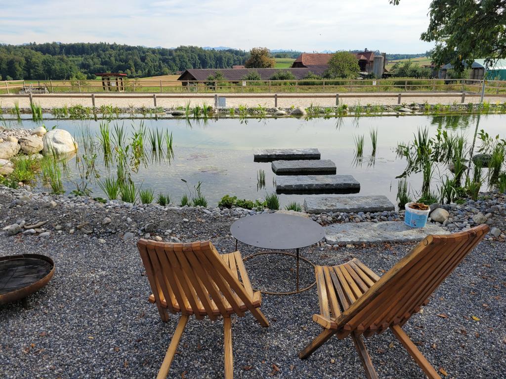 Naturpool mit Granitblöcken